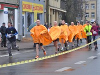 DSC 0509  STO-noga na spacerze