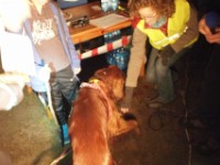 Zwycięzcy zbierają gratulacje!